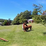Cabanas Antu-Mapu